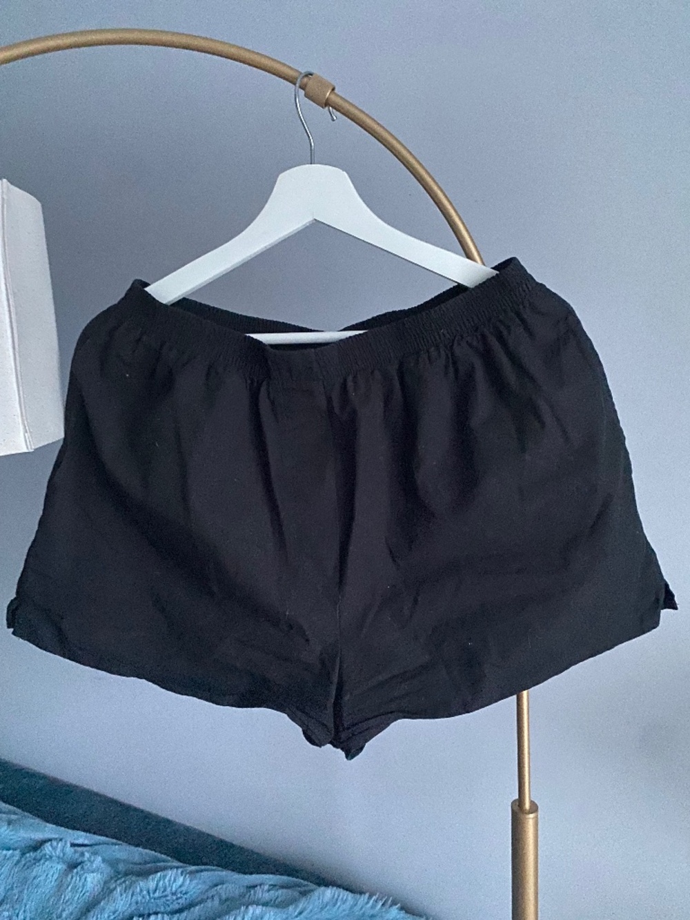 Aritzia shorts
